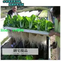 在飛比找樂天市場購物網優惠-【魚菜共生】魚塘水面種植蔬菜定植板無土栽培設備水培種菜水耕（