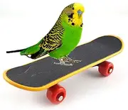 Bird Parrot Intelligence Toys Mini Training Skateboard for Budgies Parakeet Cockatiel Lovebird Conure Small and Medium Bird Funny Perch Toy
