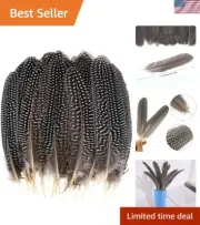50 Pcs 15-20cm Natural Spotted Feathers Pheasant Feathers for DIY Crafts Deco...