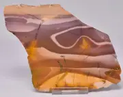 MOOKAITE Polished Slice, FOSSIL RADIOLARIAN Western Australia S972