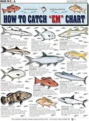 How to Catch 'Em Saltwater Fish Identification #1 - Waterproof Quick Reference Guide | Portable & Built to Last | Double-Sided & Easy to Read | (South Atlantic, Gulf of Mexico, Bahamas, and Caribbean)