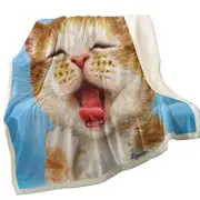 Funny Cats Sleepy Kitten Throw Blanket