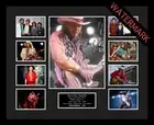 STEVIE RAY VAUGHAN DOUBLE TROUBLE LTD EDT OF 100 ONLY SIGNED FRAMED MEMORABILIA
