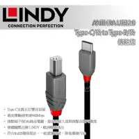 在飛比找momo購物網優惠-【LINDY 林帝】LINDY 林帝 ANTHRA USB2