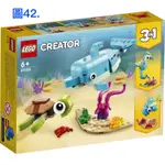 《我愛查理》💕附發票 樂高 積木 LEGO 樂高盒組 積木 31128 CREATOR 三合一 海豚和烏龜