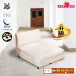 【USLEEP舒背秀】微微硬2.3乳膠升級連結式床墊-6*7尺特大(6*7尺 天然乳膠 2.3護框型 國際睡眠學會會員)