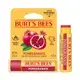 Burt’s Bees 石榴保溼滋潤護唇膏4.25g【康是美】