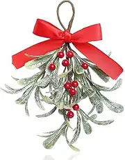 Teircno Mistletoe Christmas Decor, Artificial Mistletoe Frosted Mistletoe Decoration for Doorway Hanging Mistletoe Christmas Ornament Kissing Ball Artificial Glitter Leaf Hanging Decoration for Couple