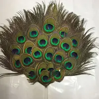 在飛比找蝦皮購物優惠-羽毛 diy 手工羽毛材料 天然孔雀羽毛眼睛DIY耳環服裝飾