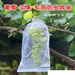 驅鳥器 防鳥網防蟲網袋草莓葡萄無花果防鳥專用紗網防果蠅防鳥神器保護袋