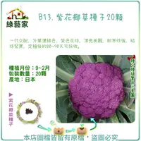 在飛比找Yahoo奇摩購物中心優惠-【綠藝家】B13.紫花椰菜種子20顆