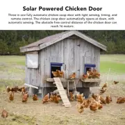 Light Sensor Timing Remote Control Solar Metal Roller Shutter Chicken Coop Door