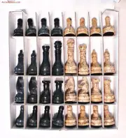 SEMI-PRECIOUS GEMSTONE CHESS MEN - SHELL FOSSIL & BLACK AGATE SET (A474)