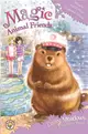 Magic Animal Friends: Phoebe Paddlefoot Makes a Splash：Book 18