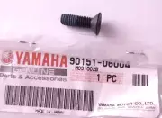 Yamaha Countersunk Screw NOS 90151-06004 (L-8404)