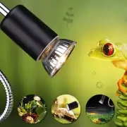 Reptile Lamp 25/50/75W UVA+UVB 3.0 Pet Heat Lamp Bulb Turtle Basking Light Bulbs