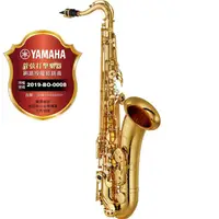 在飛比找蝦皮購物優惠-【偉博樂器】日本YAMAHA台灣授權公司貨 YTS-480 