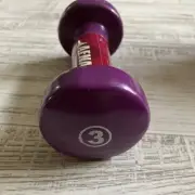Single 3lb ANFA DUMBBELL DELUXE VINYL COATED HAND WEIGHT ALL PURPOSE Purple