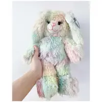 在飛比找蝦皮購物優惠-收藏品 ｜ COLOR RICH 復古 彩虹兔子娃娃 玩偶 