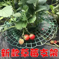 在飛比找松果購物優惠-【JLS】新款帶花邊 草莓支架 草莓托盤 草莓架 草莓立體支