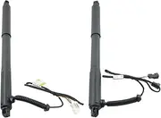 Gas Springs for BMW X5 E70 2007 2008 2009 2010 2011 2012 2013 AP03 Pair Rear L+R Electric Tailgate Lift Support(2 Pcs) Gas Struts