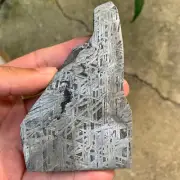 318g Altay Iron Meteorite Space Meteorite Slice