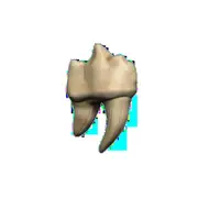 Dungeons & Dragons - Teeth of Dahlver-Nar Bite-Sized Artifact