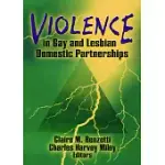 VIOLENCE IN GAY AND LESBIAN DOMESTIC PARTNERSHIPS