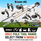 Baumr-AG Pole Chainsaw Hedge Trimmer Brush Cutter Whipper Snipper Multi Tool