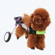 MegLob Pet Disability Wheelchair Dog Stroller Two Wheels Adjustable Height Small