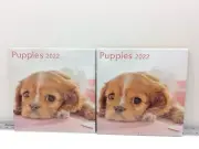 2 - DaySpring Company 2022 Puppies Wall Calendar 12" x 24"
