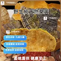 在飛比找蝦皮購物優惠-『仲景膳食』西藏野生桑黃正宗西藏桑樹桑黃野生純天然金邊桑黃泡