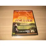 熱門影片《何處是我家》DVD 茱莉安柯勒 榮獲2003年奧斯卡最佳外語片的大獎