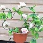 Potted Plants Trellis Creative Pot Stand Flower Climbing Holder Potted Plants