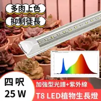 在飛比找momo購物網優惠-【JIUNPEY 君沛】3入組 T8 4呎 25W紫外線UV