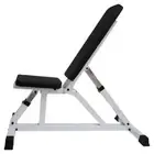 Adjustable Sit Up Weight Bench Fitness Flat Incline Gym Home 500kg Capacity