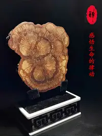 在飛比找松果購物優惠-盃墊吸水隔熱原生態藤木片餐墊茶道壺墊加厚花草微景奇石木質底座