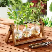 Glass and Wood Propagation Station Set, Clear Glass Sturdy Wood Vases