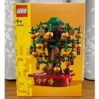 在飛比找蝦皮購物優惠-【椅比呀呀|高雄屏東】LEGO 樂高 40648 金錢樹 搖