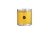 Aromatique Agave Pineapple Candle in Textured Glass 5.5oz New