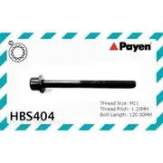 Payen Cylinder Head Bolt Set - HBS404