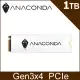 ANACOMDA 巨蟒 i3 1TB Gen3x4 M.2 2280 PCIe SSD固態硬碟