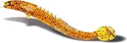 8-Pack Bionic Loach Soft Baits – 3.9" Floating TPE Lures with Hyper-Realistic Action Slow-Sink Freshwater Fish Catcher Soft Plastic Baits