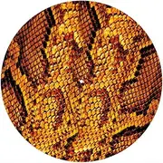 Slipmat Slip Mat Scratch Pad Felt for Any 12" LP DJ Vinyl Turntable Record Player Custom Graphical - Snake Skin YL