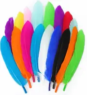240Pcs Colorful Goose Feathers 4-6 Inches Natural Feathers for DIY Crafts