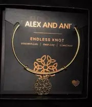 Alex and Ani Endless Knot Bracelet NWT Destiny Connection Timeless Gift Bangle