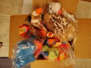 15Pc Dog Squeaky Toys Durable Plush Toy for Puppy Large Small Dogs Pets Squeaker
