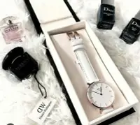 在飛比找Yahoo!奇摩拍賣優惠-DANIEL WELLINGTON CLASSIC PETI