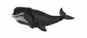 NEW CollectA 88652 BOWHEAD WHALE Model 22cm - Sealife Ocean