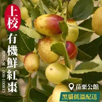 在飛比找ihergo愛合購優惠-免運!【上校】苗栗公館有機鮮紅棗 1台斤/盒 (10盒,每盒